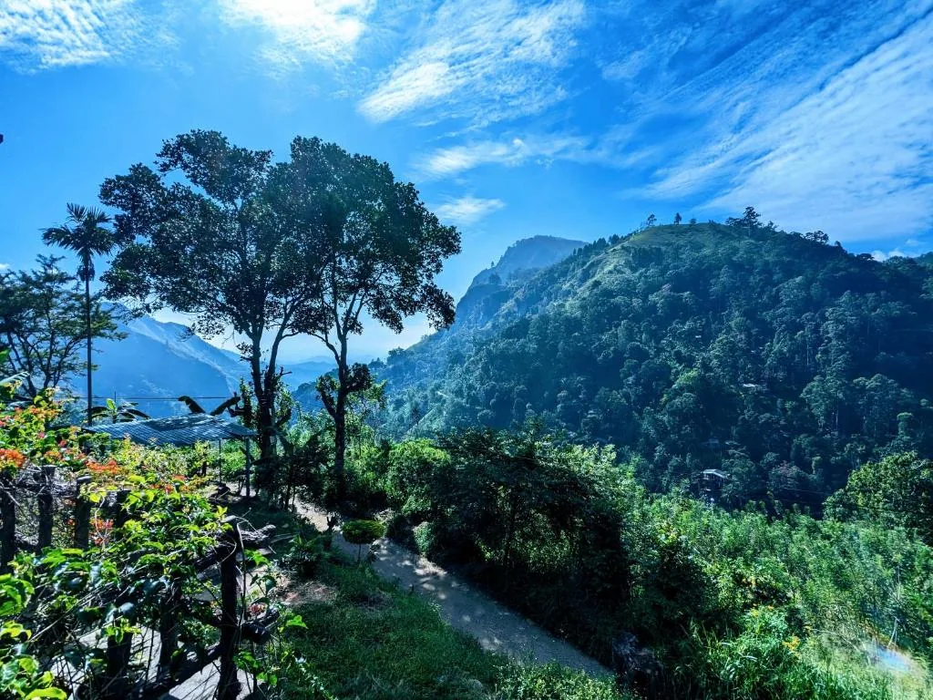 Lavendra Paradise